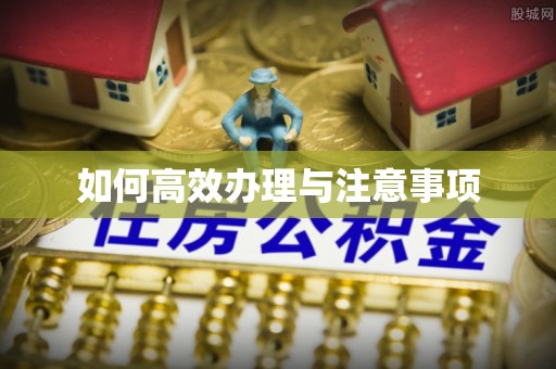 勉县如何高效办理与注意事项