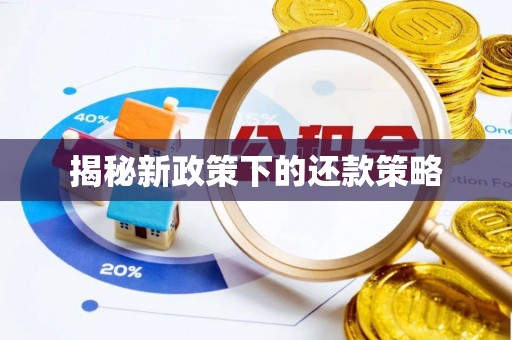 勉县揭秘新政策下的还款策略