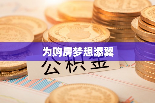 勉县为购房梦想添翼