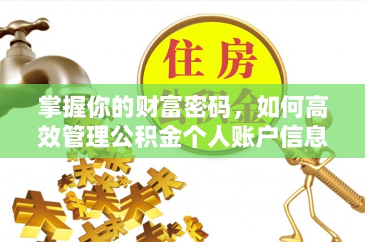 勉县掌握你的财富密码，如何高效管理公积金个人账户信息