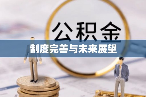 勉县制度完善与未来展望
