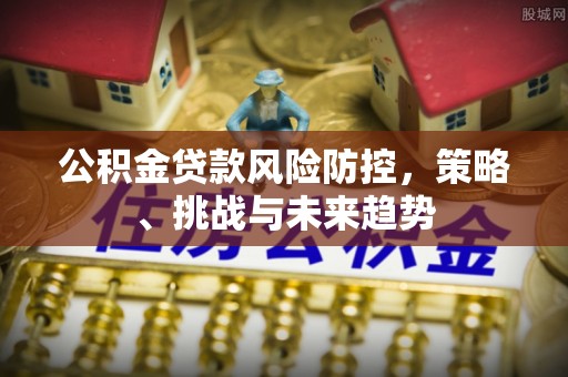 勉县公积金贷款风险防控，策略、挑战与未来趋势