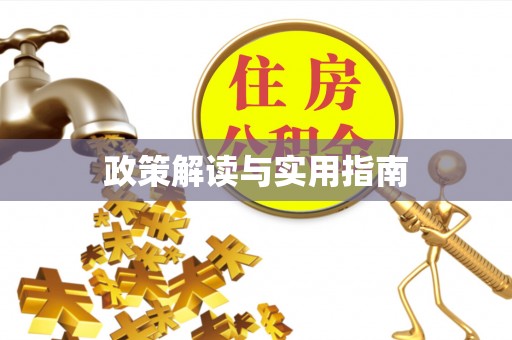 勉县政策解读与实用指南