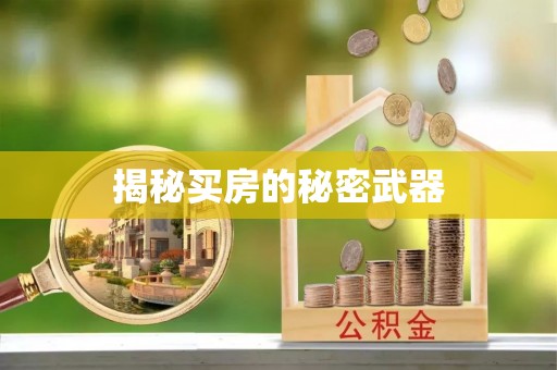 勉县揭秘买房的秘密武器