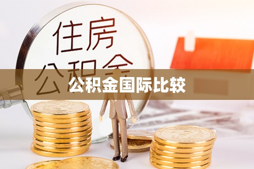 勉县公积金国际比较
