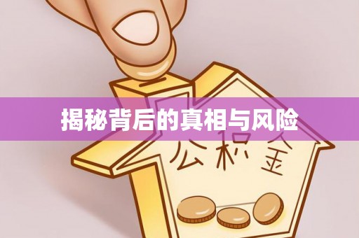 勉县揭秘背后的真相与风险