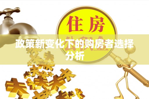 勉县政策新变化下的购房者选择分析