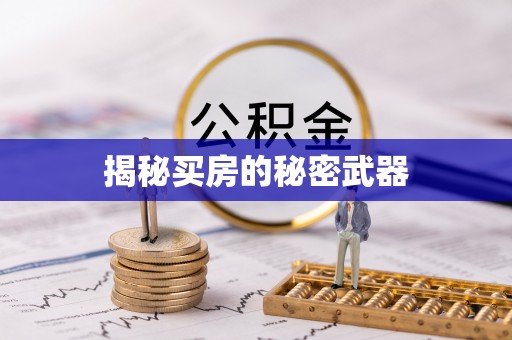 勉县揭秘买房的秘密武器