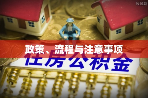 勉县政策、流程与注意事项