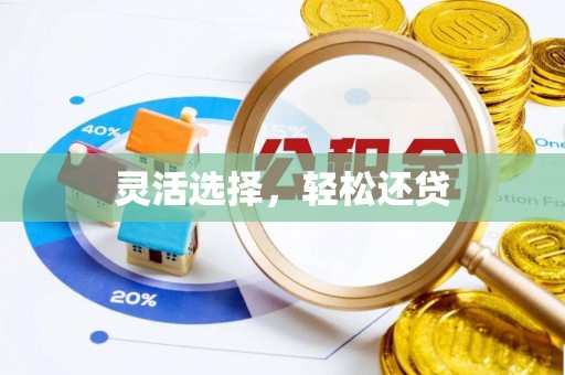 勉县灵活选择，轻松还贷
