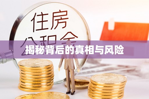 勉县揭秘背后的真相与风险
