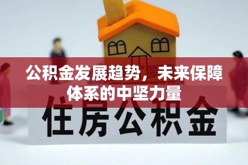 勉县公积金发展趋势，未来保障体系的中坚力量