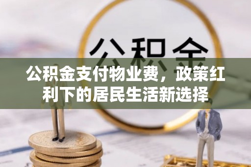 勉县公积金支付物业费，政策红利下的居民生活新选择