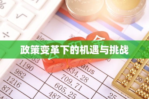 勉县政策变革下的机遇与挑战