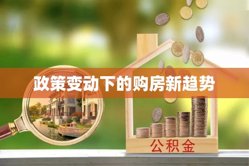 勉县政策变动下的购房新趋势
