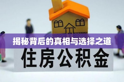 勉县揭秘背后的真相与选择之道