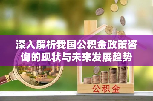 勉县深入解析我国公积金政策咨询的现状与未来发展趋势