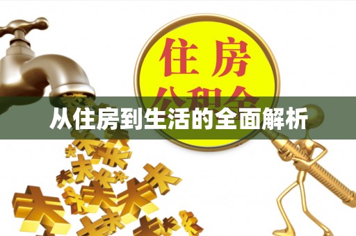勉县从住房到生活的全面解析