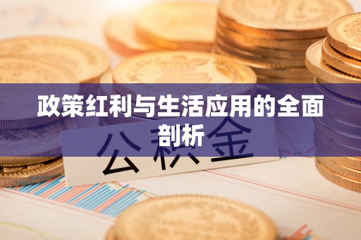 勉县政策红利与生活应用的全面剖析