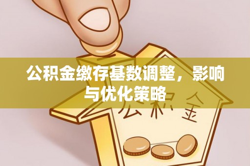 勉县公积金缴存基数调整，影响与优化策略