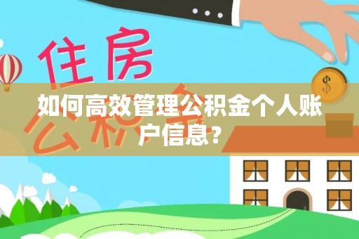 勉县如何高效管理公积金个人账户信息？