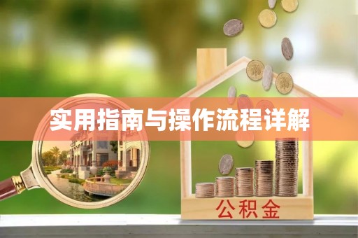 勉县实用指南与操作流程详解