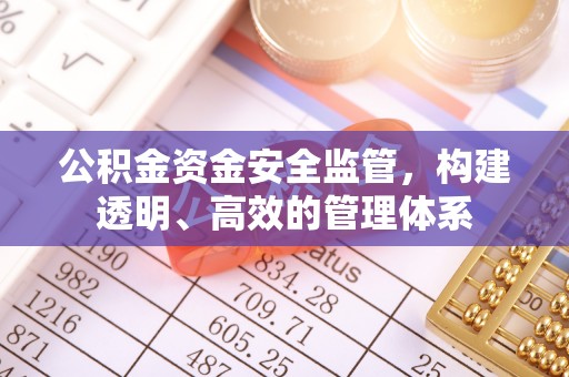 勉县公积金资金安全监管，构建透明、高效的管理体系