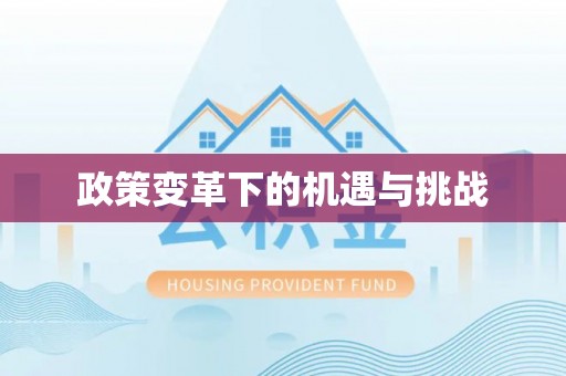 勉县政策变革下的机遇与挑战