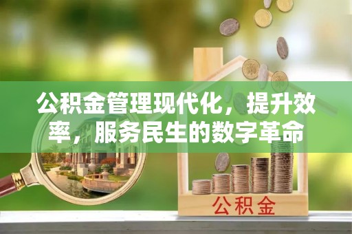 勉县公积金管理现代化，提升效率，服务民生的数字革命