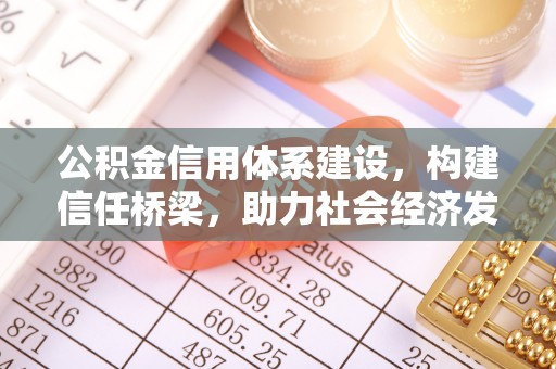 勉县公积金信用体系建设，构建信任桥梁，助力社会经济发展