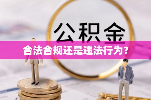 勉县合法合规还是违法行为？