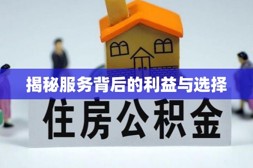 勉县揭秘服务背后的利益与选择