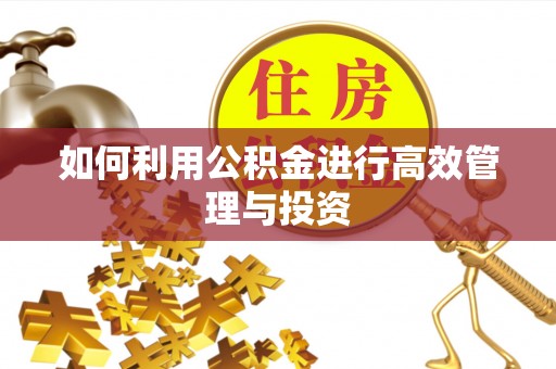 勉县如何利用公积金进行高效管理与投资