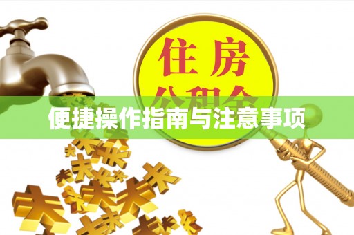 勉县便捷操作指南与注意事项